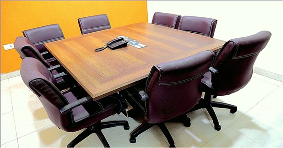 MediSales in Raipur
